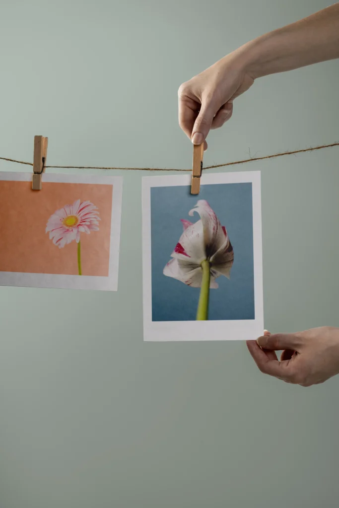 Importancia del papel artístico Di Pierro Estudio